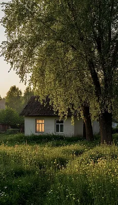 287f324469642c4d3f9d7d1ea50b04d1.jpg-1.jpg