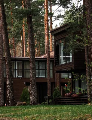 IMG_8560.jpg