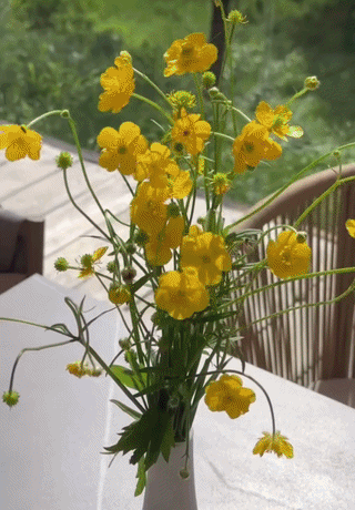 ezgif-46372f7318506025.gif