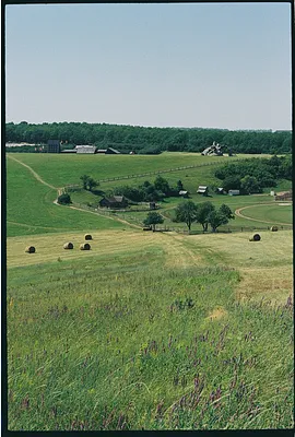 IMG_4639.PNG