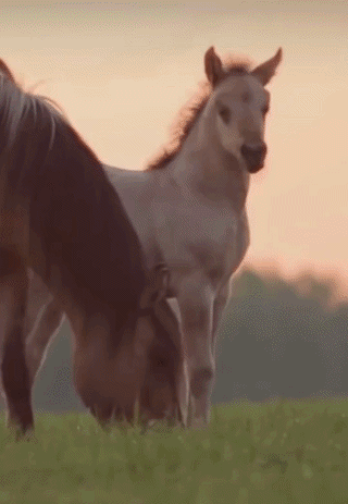 ezgif-4100ce8e557605cf.gif