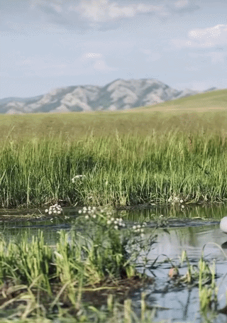 ezgif-2b36e5b0fe7f4d4e.gif