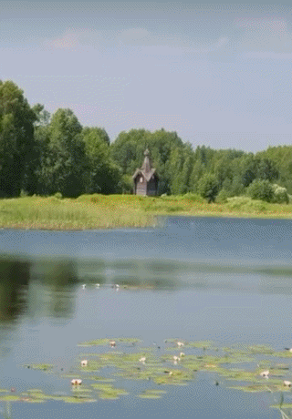 5.gif